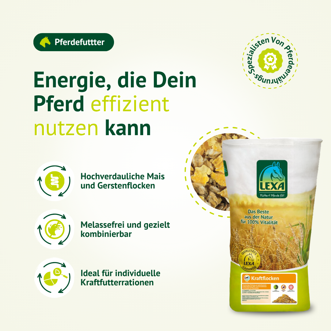 Kraftflocken Pferdefutter mit Hafer und Getreide für Energie und Leistungsbereitschaft