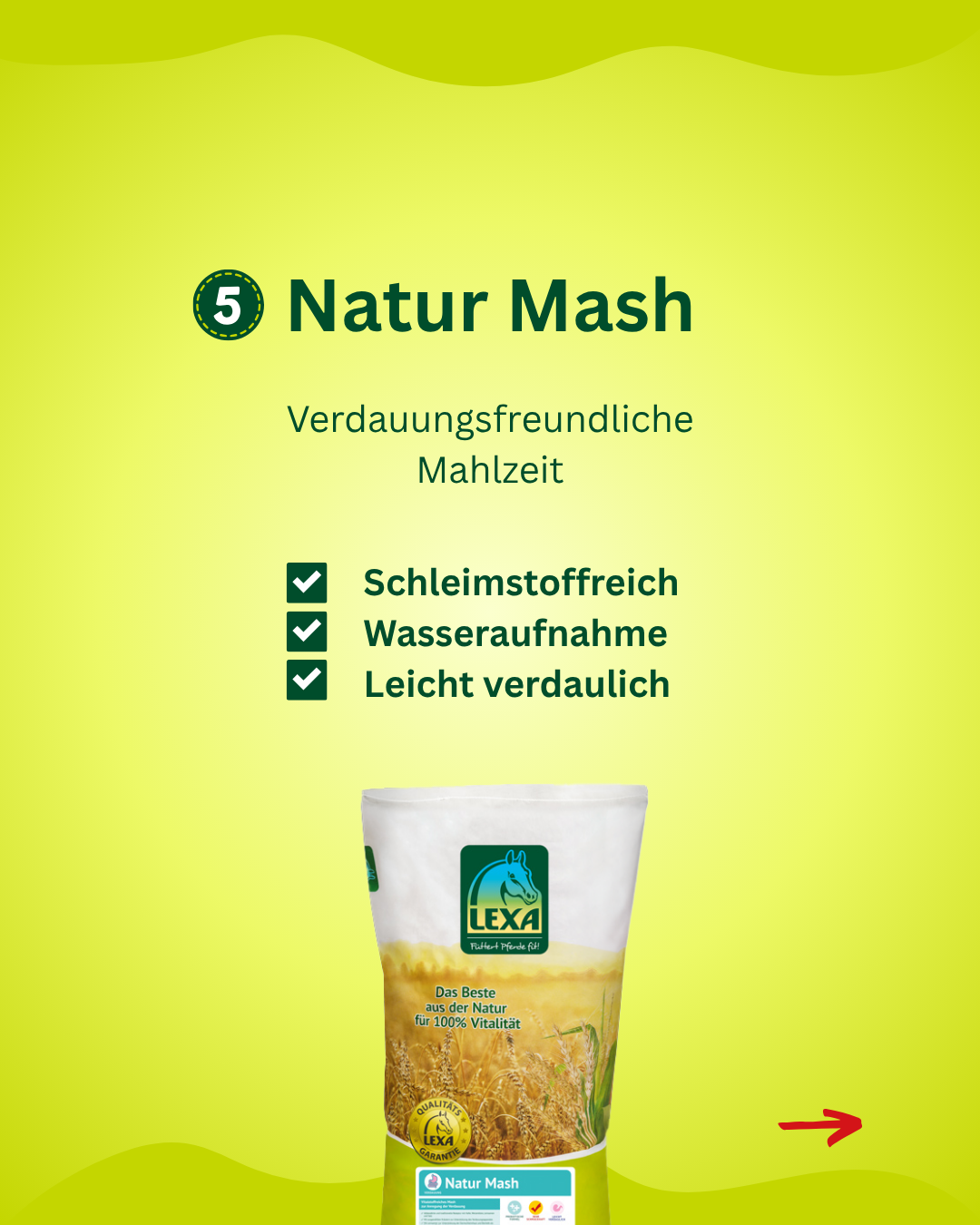 Natur Mash für Pferde als leicht verdauliche Mahlzeit