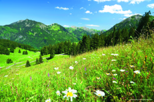 Nachhaltigkeit und die Natur liegen uns sehr am Herzen. Nachhaltigkeit und die Natur liegen uns sehr am Herzen.