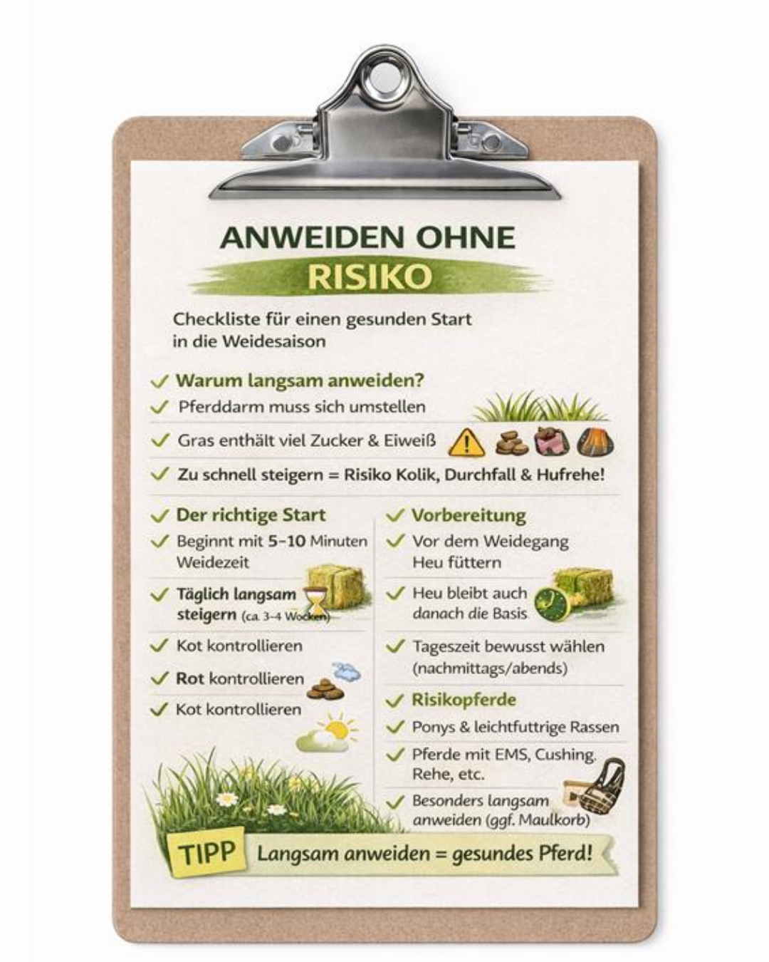 Abschlussgrafik zum sicheren Anweiden von Pferden mit dem Hinweis auf einen langsamen und gesunden Start in die Weidesaison