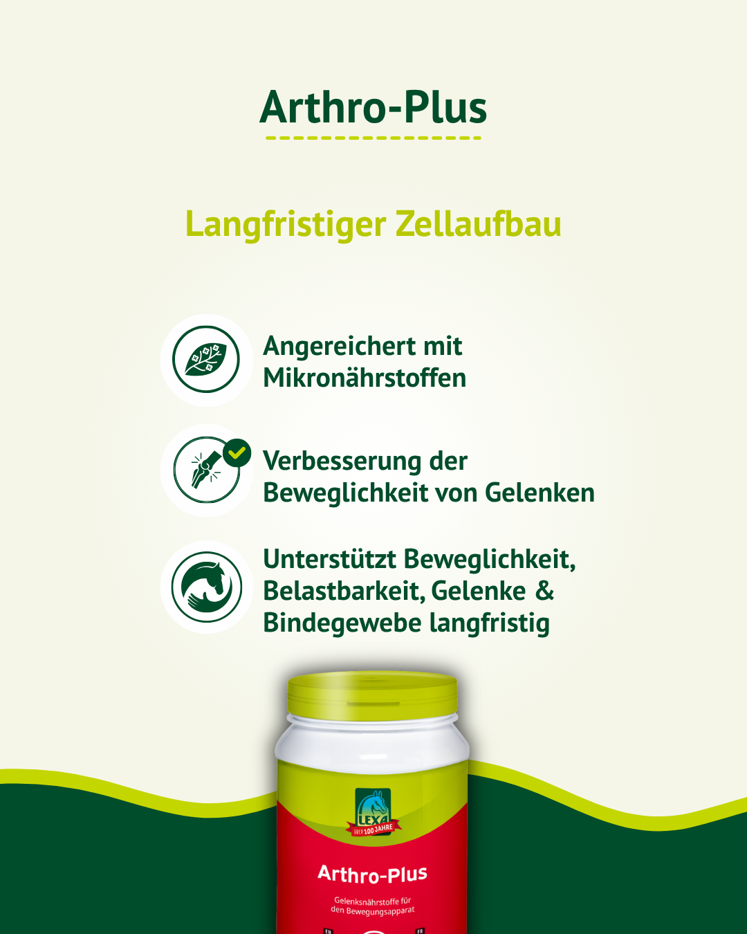 Eigenschaften von LEXA Arthro-Plus für die langfristige Unterstützung des Bewegungsapparates