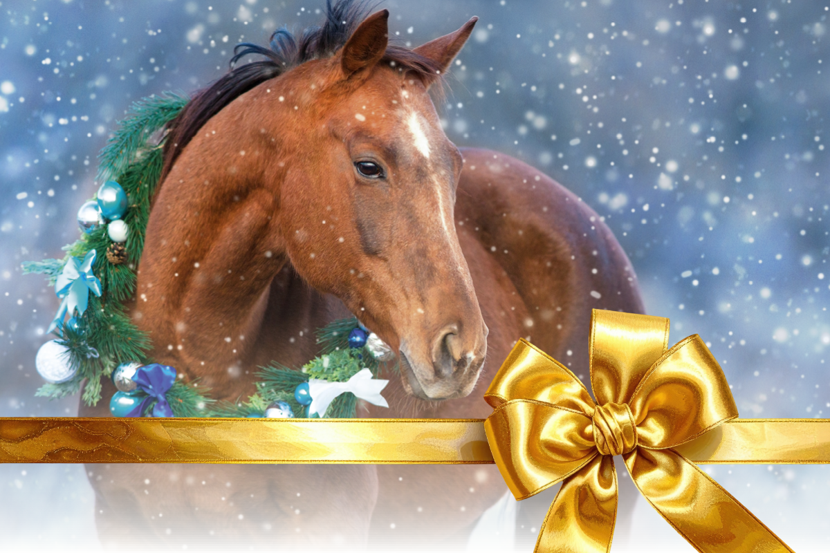 Geschenkgutschein von LEXA, über 100 Jahre, mit goldener Schleife auf weißem Hintergrund.