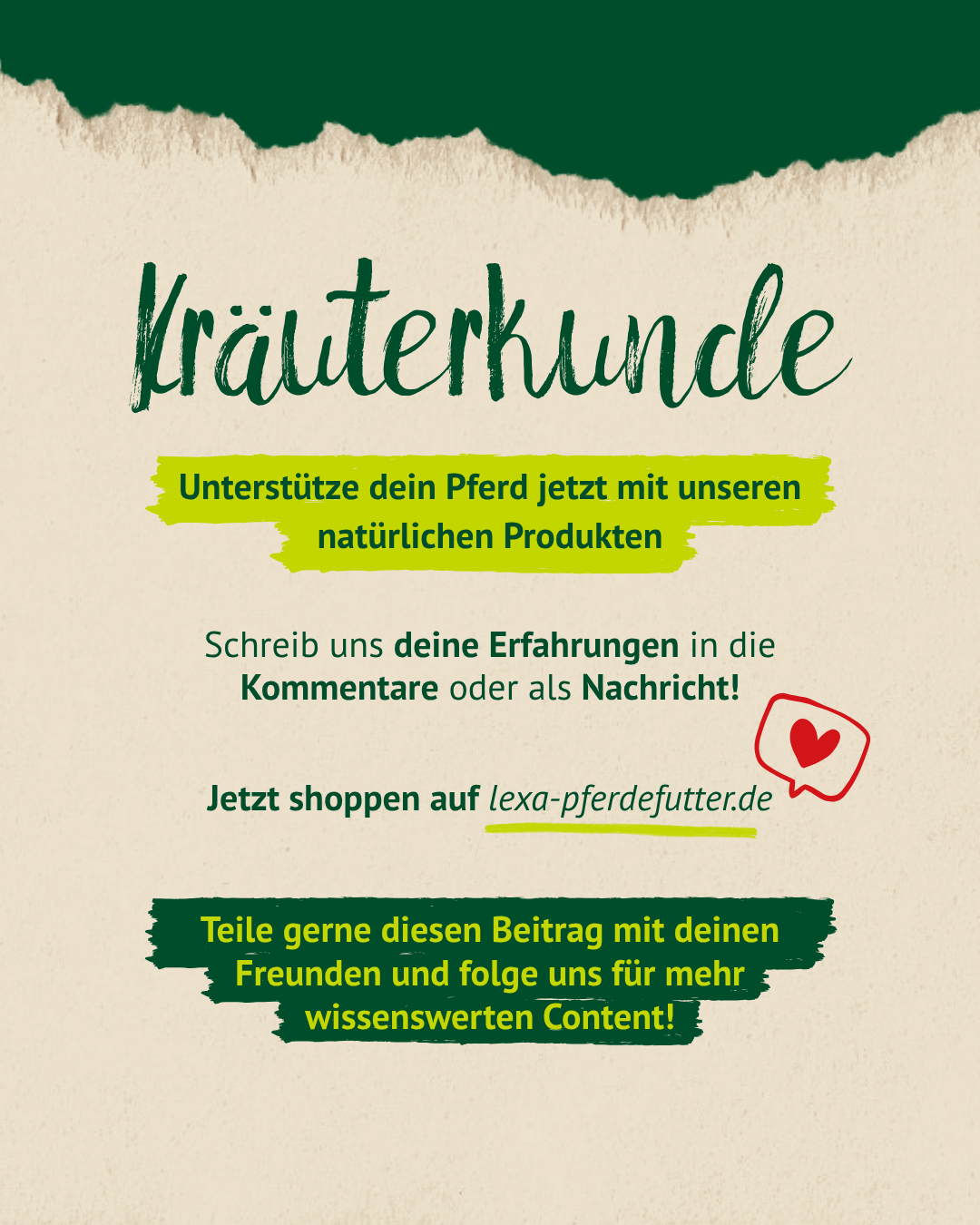 Kräuterkunde Fenchel – natürliche Unterstützung für dein Pferd jetzt entdecken