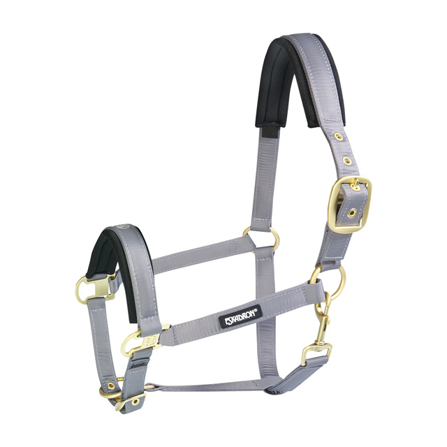 Grau-gelbes Halfter aus strapazierfähigem Material mit gepolsterten Bereichen für Komfort.