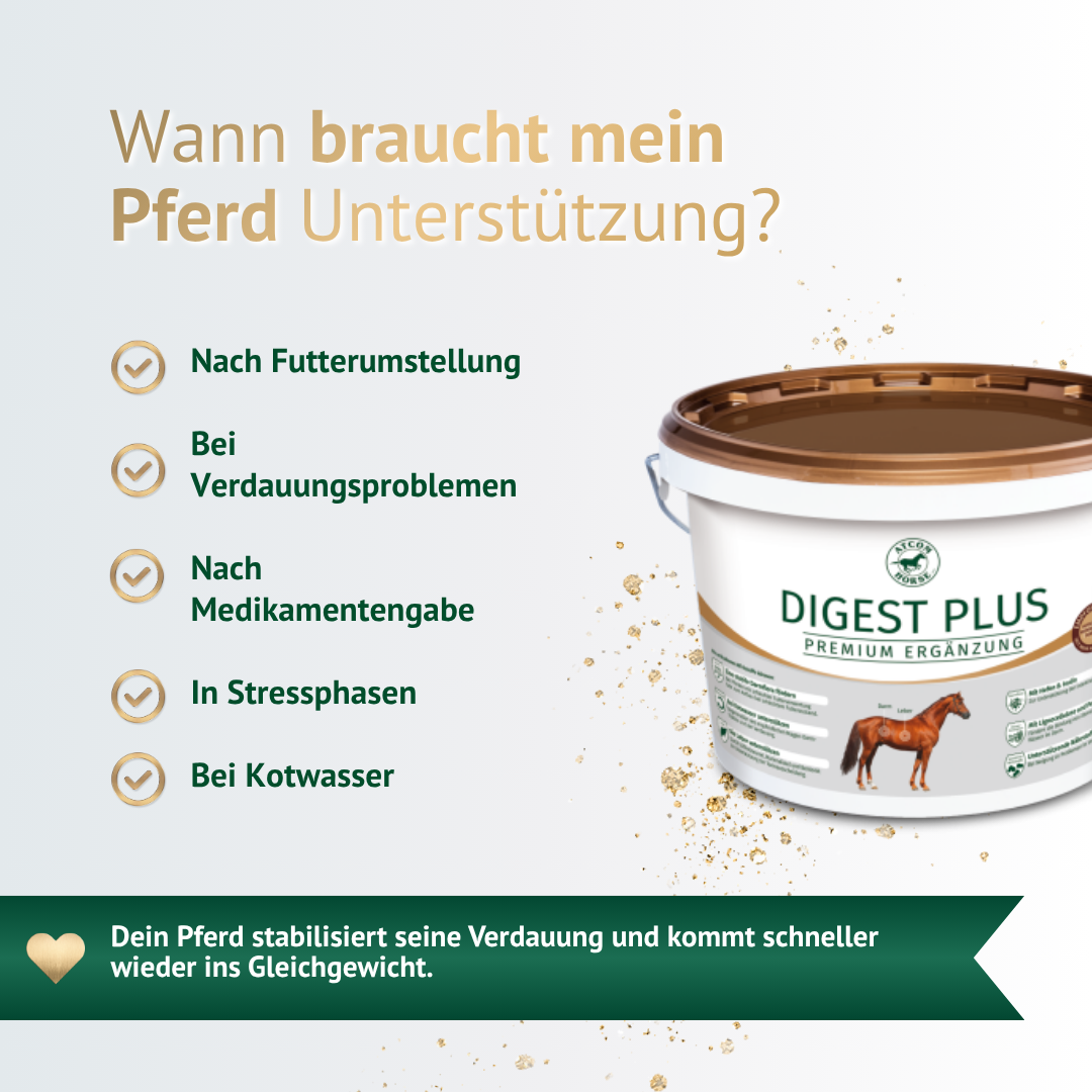 Wann braucht dein Pferd Unterstützung – Digest Plus hilft bei Futterumstellung, Verdauungsproblemen und Stress