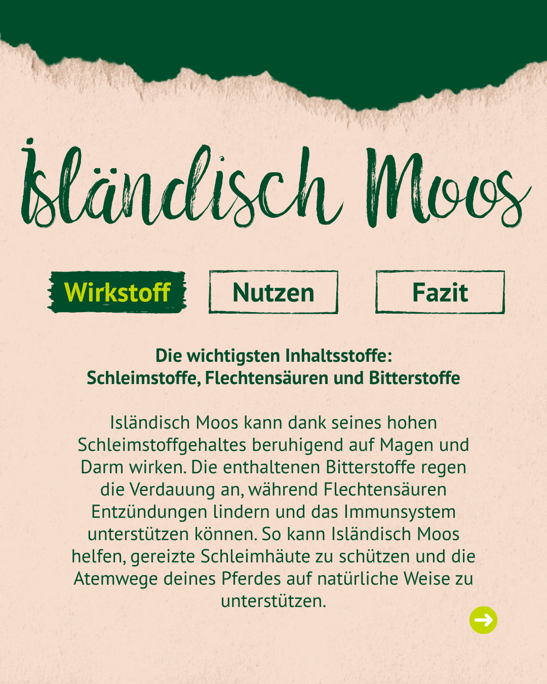 Abschnitt "Wirkstoff": Die wichtigsten Inhaltsstoffe sind Schleimstoffe, Flechtensäuren und Bitterstoffe. Sie wirken beruhigend auf Magen und Darm, regen die Verdauung an und können gereizte Schleimhäute schützen sowie die Atemwege unterstützen.
