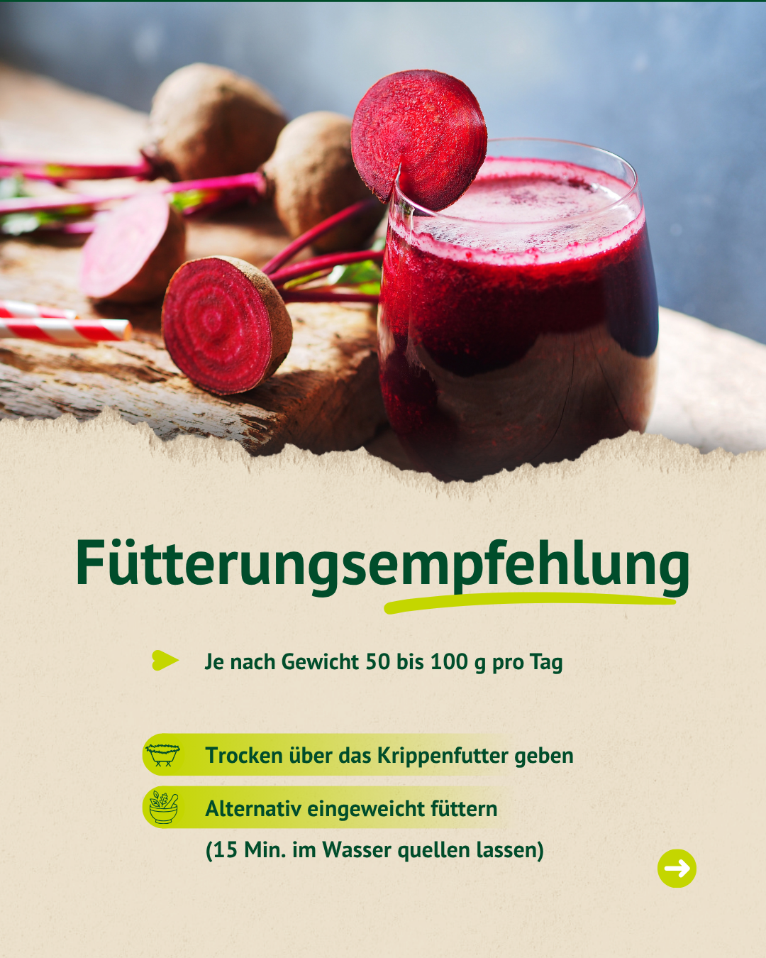 Produktempfehlung Rote Beete für Pferde – schonend verarbeitet und naturbelassen
