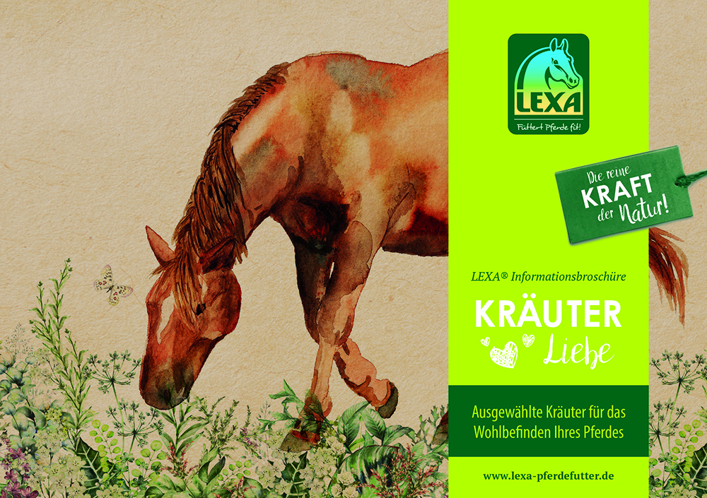 LEXA Kräuterbroschüre