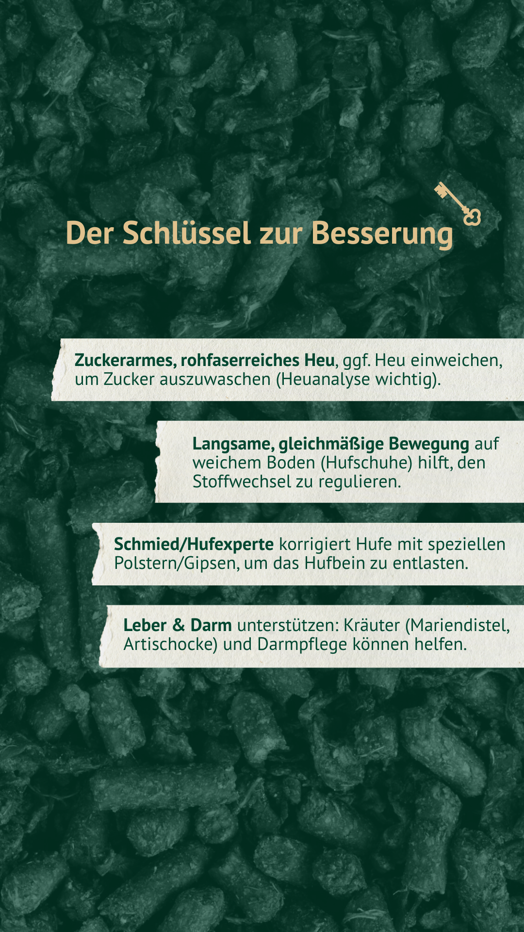 LEXA Grafik zur Kategorie Mineralfutter für Rehepferde
