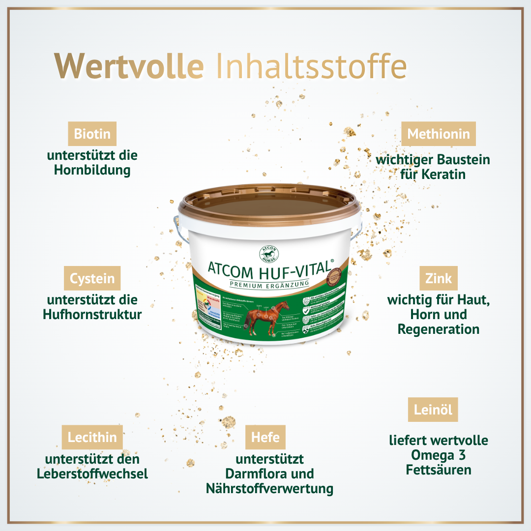 Wertvolle Inhaltsstoffe in ATCOM HUF-VITAL – Biotin, Zink, Methionin und Omega-3 für gesunde Hufe und Haut