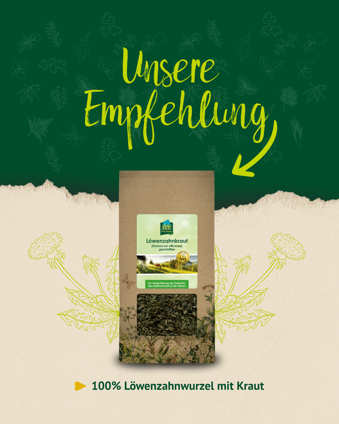 Getrockneter Löwenzahn als natürliche Futterergänzung für Pferde im Produktbild