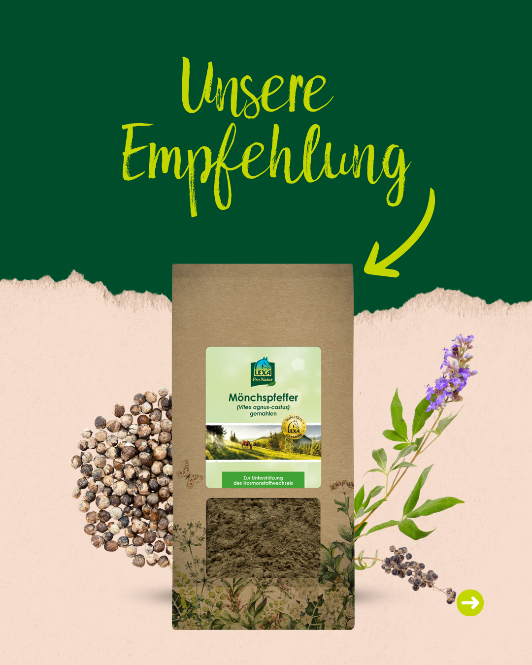 Produktempfehlung: Tüte "Mönchspfeffer (Vitex agnus-castus) gemahlen" von LEXA zur Unterstützung des Hormonhaushalts.