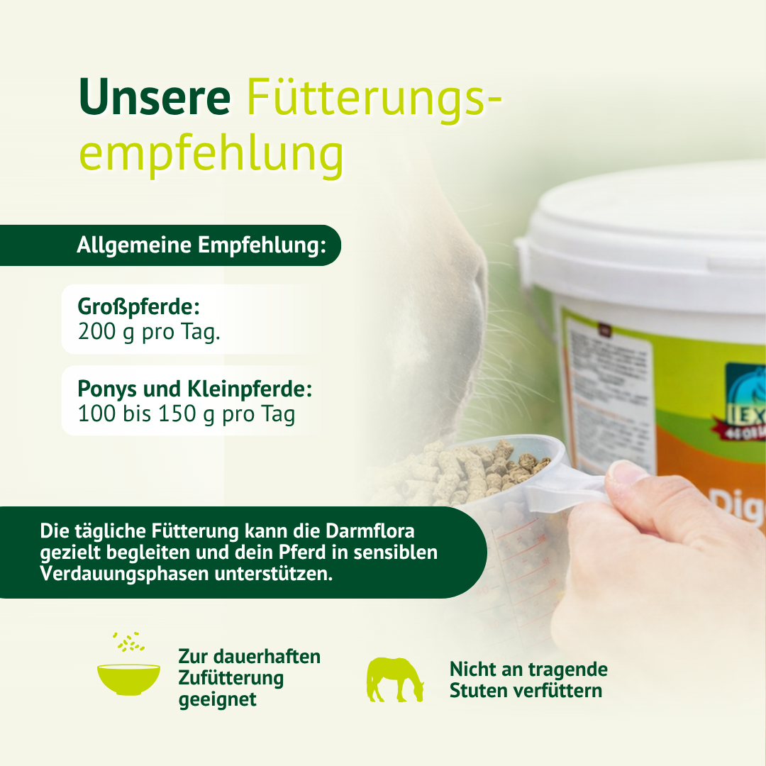 Fütterungsempfehlung für Verdauungsfutter beim Pferd – abgestimmte Dosierung je nach Größe und Bedarf
