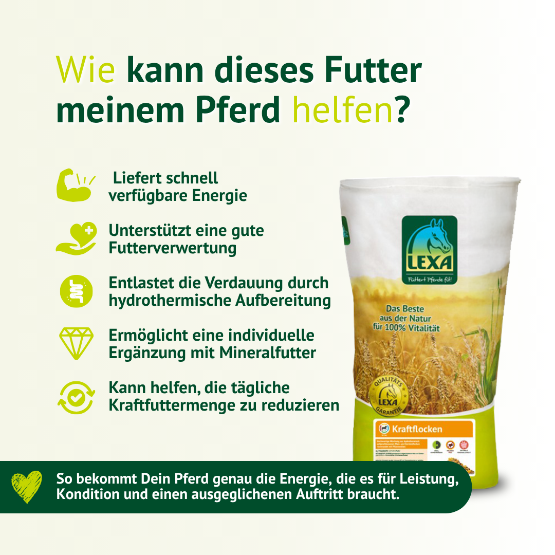 Vorteile von Kraftflocken für Pferde – mehr Energie, Ausdauer und Leistungsfähigkeit