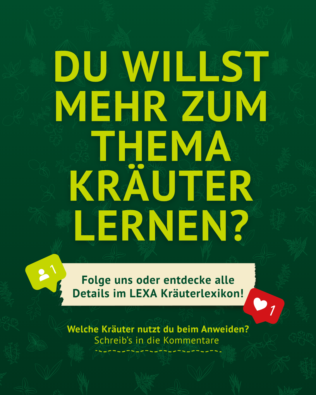 Fütterungsempfehlung Winterkräuter für Pferde und Ponys – einfach und praktisch dosiert