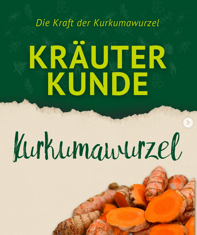 Grafik mit dem Titel ‚Kräuterkunde – Die Kraft der Kurkumawurzel‘. Im unteren Bereich sind frische, angeschnittene Kurkumawurzeln mit ihrer typischen orangefarbenen Farbe auf einem hellen Hintergrund zu sehen.