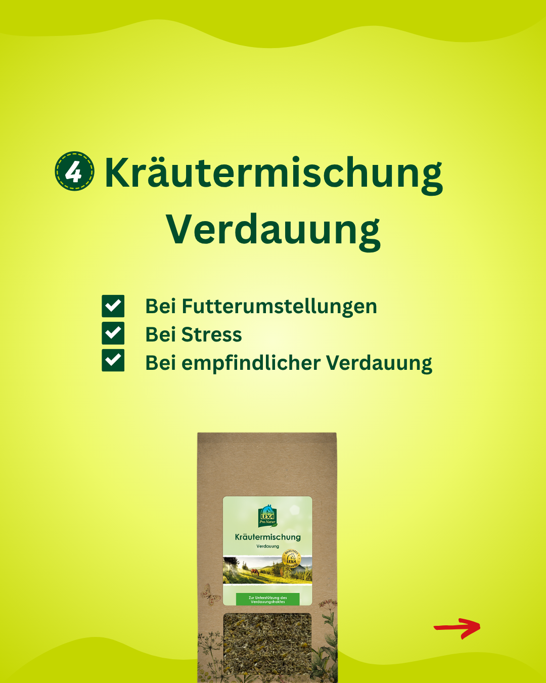 Kräutermischung Verdauung für Pferde bei Stress und Futterumstellung