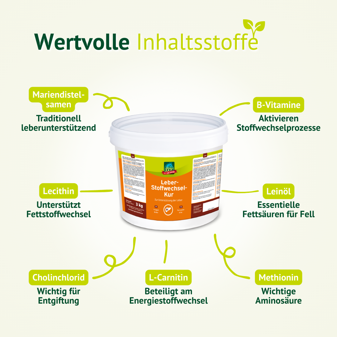 l carnitin kur Leber-Stoffwechsel-Kur How to Mix Retatrutidr Eye cream Strength per Vial:10 mg