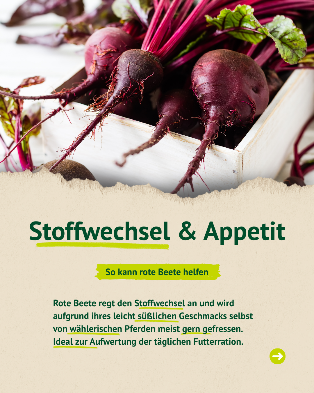 Geschnittene Rote Beete – unterstützt die Verdauung und liefert wichtige Ballaststoffe