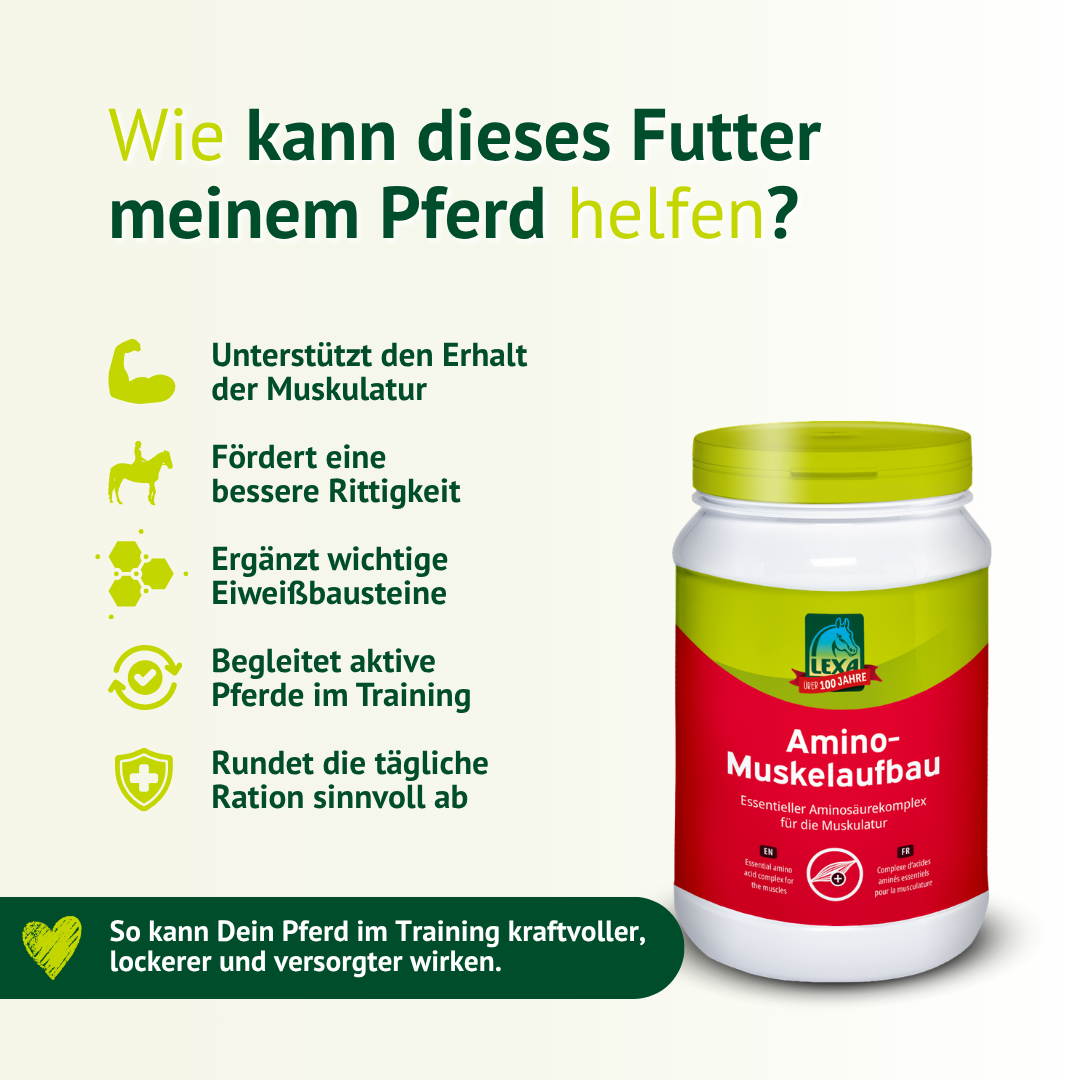 Wie unterstützt Amino Muskelaufbau die Muskulatur des Pferdes? Ergänzungsfutter zur Förderung von Kraft, Rittigkeit und Regeneration im Training.