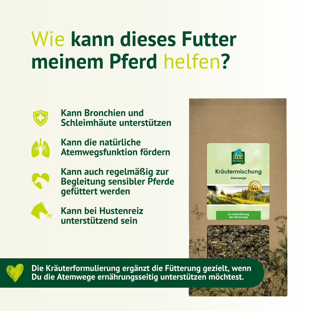 Wie Kräuterfutter die Atemwege deines Pferdes unterstützt und zur täglichen Fütterung geeignet ist