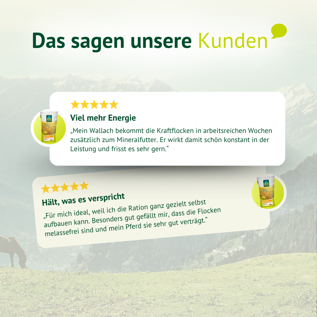 Unterschied zwischen strukturiertem Pferdefutter und klassischen Kraftflocken