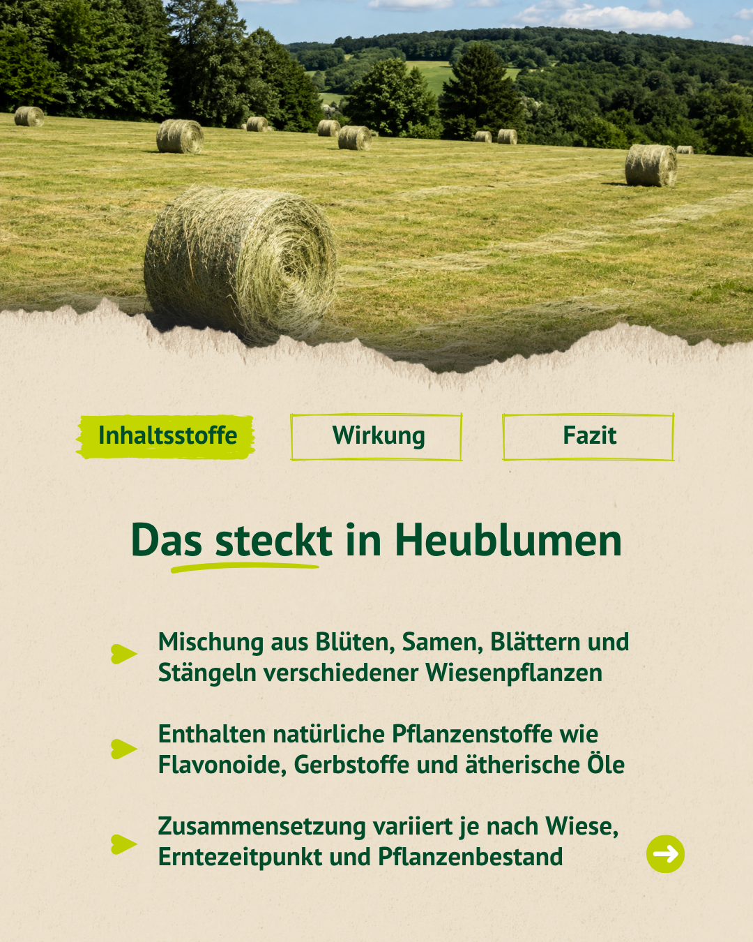 Heuwiese mit Rundballen und Infografik zu Inhaltsstoffen von Heublumen wie Blüten, Samen, Blättern, Stängeln sowie natürlichen Pflanzenstoffen