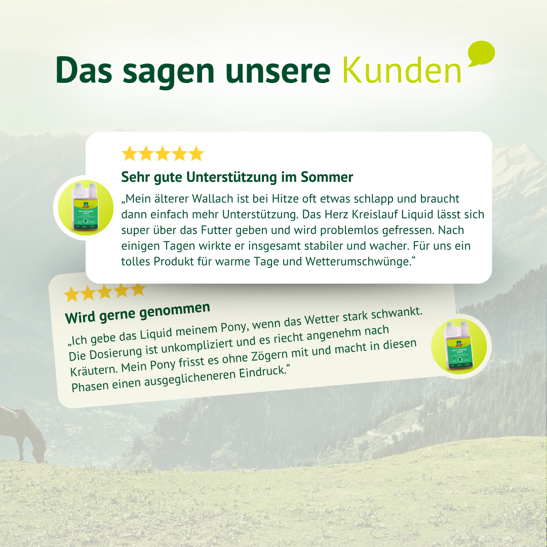Kundenbewertungen zum LEXA Herz-Kreislauf Liquid mit Erfahrungen zur Unterstützung bei Hitze und Wetterumschwüngen.