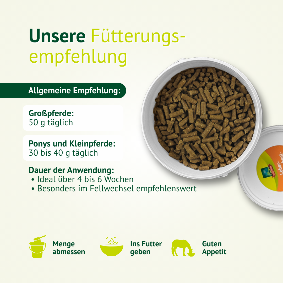 Fütterungsempfehlung für die LEXA Leber-Stoffwechsel-Kur mit Dosierung für Großpferde, Ponys und Kleinpferde sowie Anwendungsdauer.