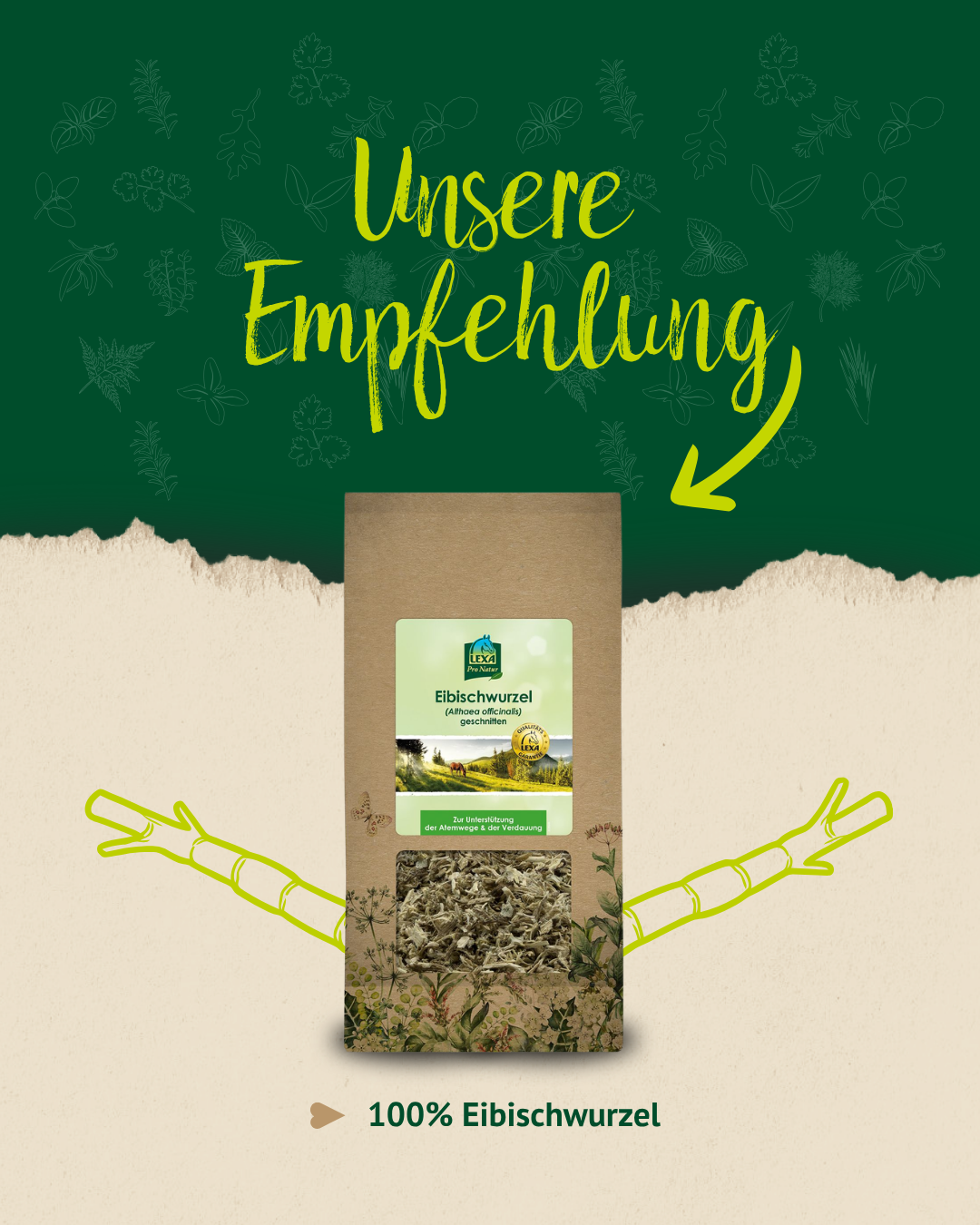 Grafik mit Produktempfehlung für 100 Prozent Eibischwurzel von LEXA Pferdefutter