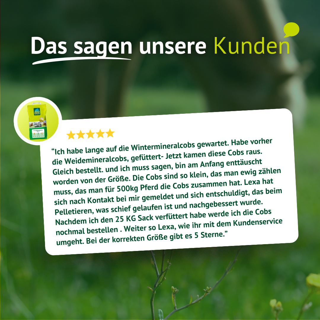 Eine positive 5-Sterne-Kundenrezension in einer Sprechblase, die den guten Kundenservice und die Qualität der Mineralcobs lobt.
