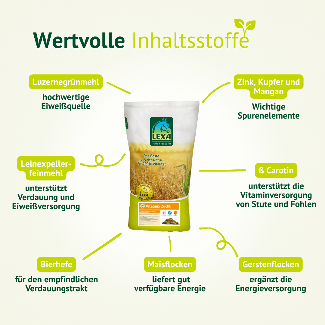 Inhaltsstoffe von Vitalmix Zucht – Luzerne, Maisflocken, Spurenelemente und Vitamine