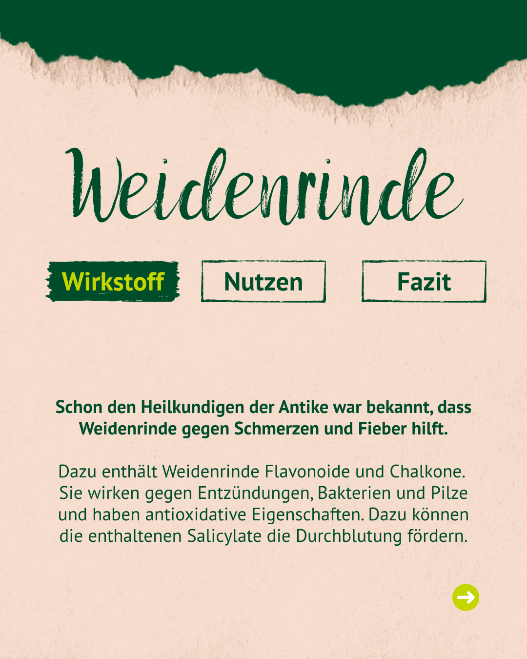 Textseite mit Überschrift 'Weidenrinde' und drei Buttons 'Wirkstoff', 'Nutzen', 'Fazit'. Text erklärt die Wirkung von Weidenrinde gegen Schmerzen und Fieber, enthält Flavonoide, Chalkone und Salicylate. Textseite mit Überschrift 'Weidenrinde' und drei Buttons 'Wirkstoff', 'Nutzen', 'Fazit'. Text erklärt die Wirkung von Weidenrinde gegen Schmerzen und Fieber, enthält Flavonoide, Chalkone und Salicylate.