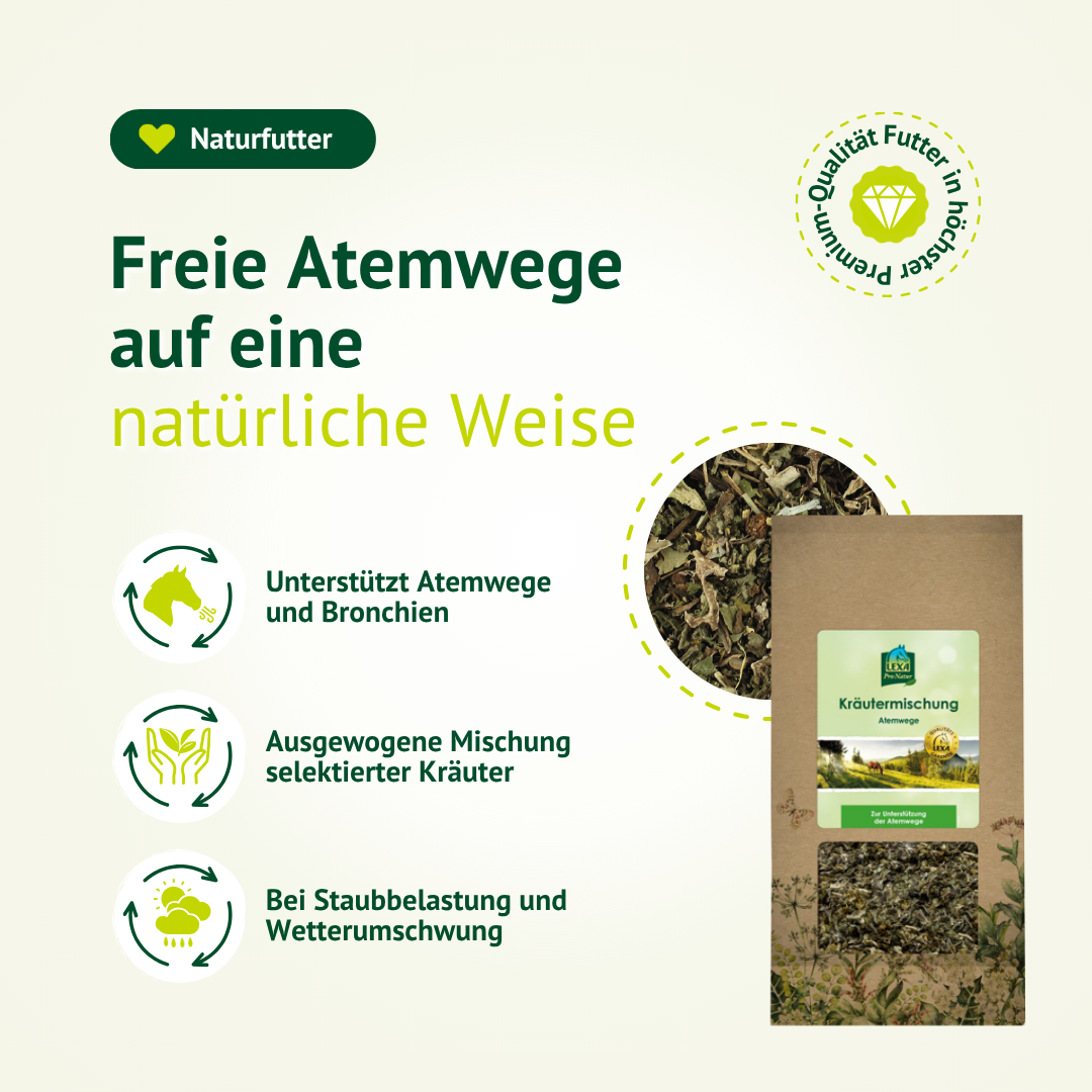 Natürliche Kräutermischung für Pferde zur Unterstützung der Atemwege und Bronchien bei Staub und Wetterwechsel