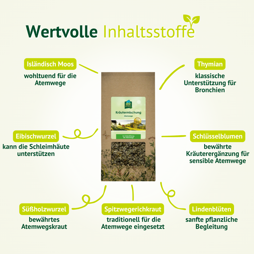 Wertvolle Inhaltsstoffe wie Thymian, Spitzwegerich und Süßholzwurzel für gesunde Atemwege beim Pferd