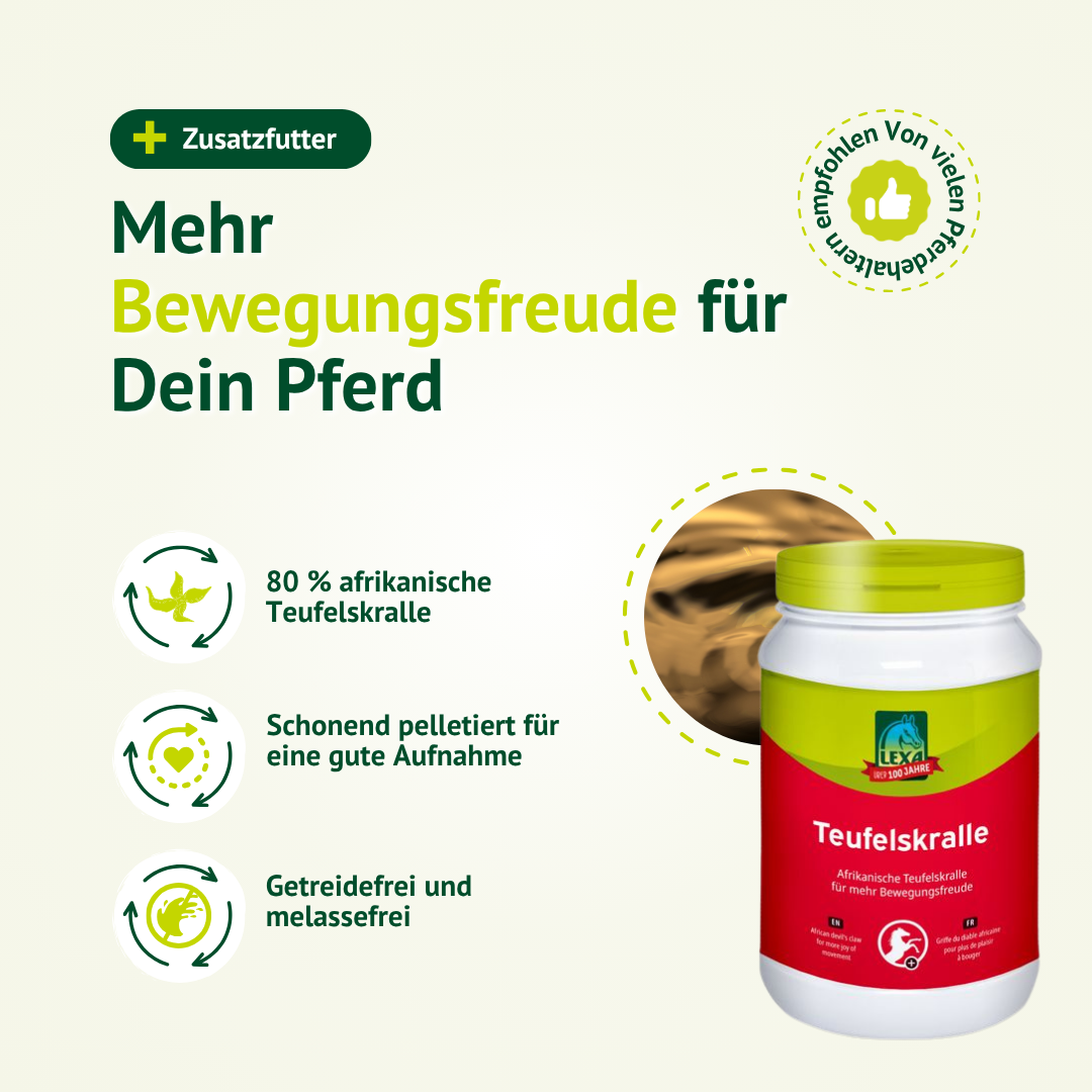 LEXA Teufelskralle Zusatzfutter für Pferde mit 80 Prozent afrikanischer Teufelskralle, getreidefrei und melassefrei zur Unterstützung der Bewegungsfreude.