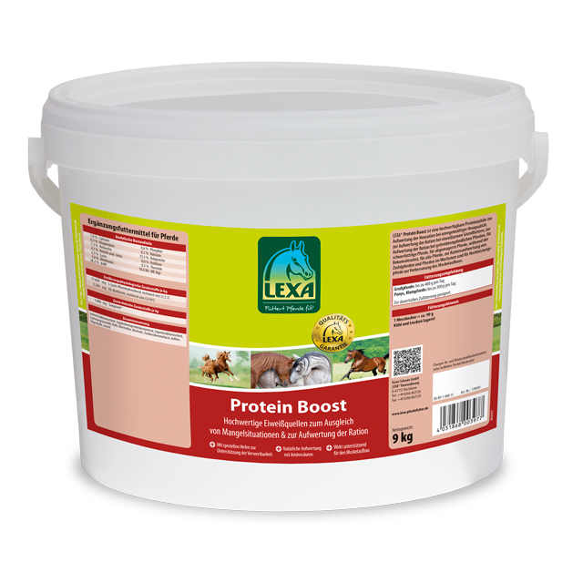 LEXA Protein Boost - Ergänzungsfuttermittel für Pferde LEXA Protein Boost, Eimer (Kunststoff), hochwertiges Ergänzungsfuttermittel für Pferde zur Unterstützung der Muskulatur.