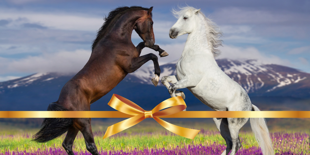 Zwei steigende Pferde – ein braunes und ein weißes – stehen sich auf einer Blumenwiese vor einer Berglandschaft gegenüber. Im Vordergrund verläuft ein goldenes Geschenkband mit Schleife.