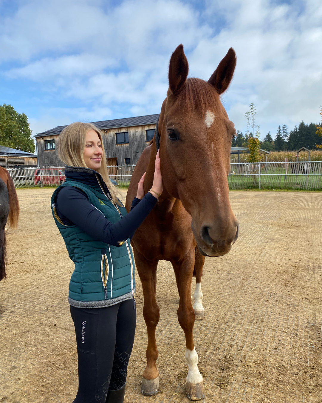 Frau streichelt ein braunes Pferd mit weißem Stirnfleck auf einem Reiterhof