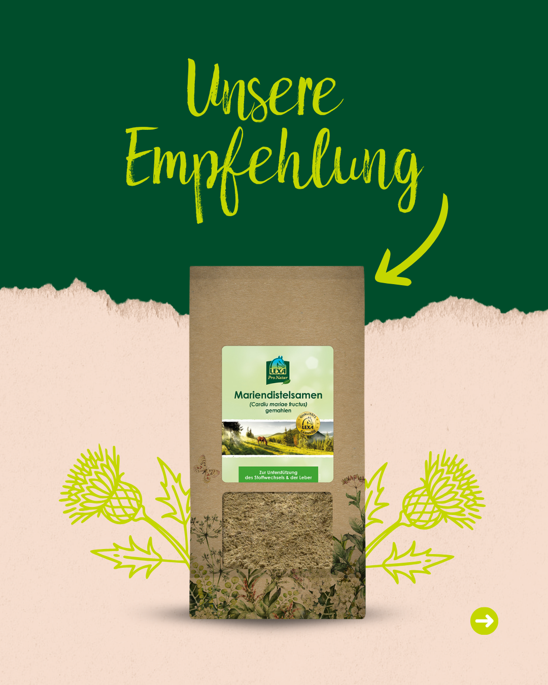 Bild mit Mareindistelsamen