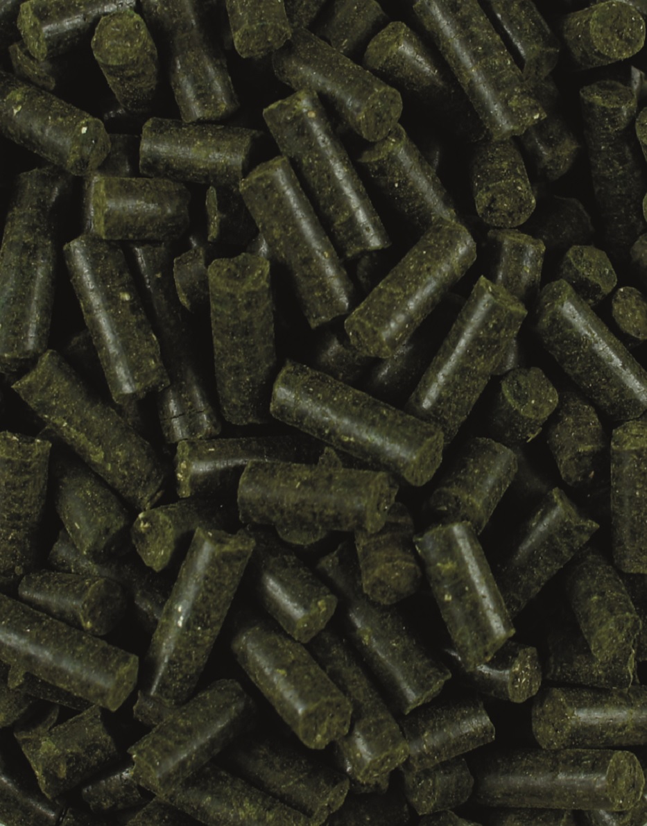 MuscAlgen Pellets Dunkelgrüne Pellets