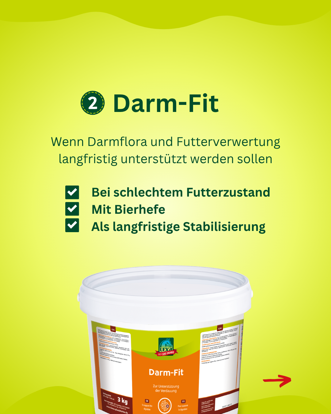 Darm Fit für Pferde zur Unterstützung von Darmflora und Futterverwertung