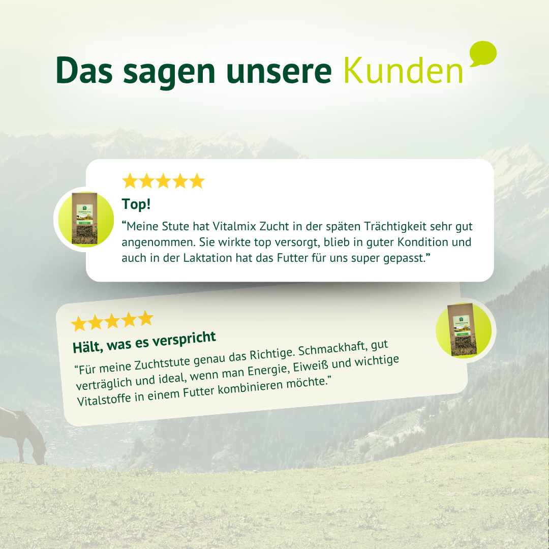 Kundenbewertungen zu Vitalmix Zucht Pferdefutter – Erfahrungen von Pferdehaltern