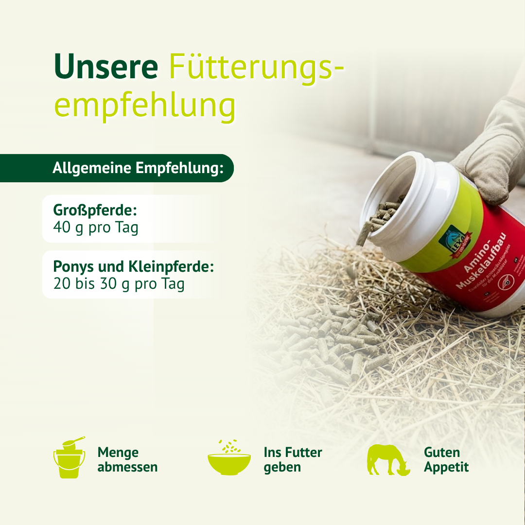 Fütterungsempfehlung für LEXA Amino Muskelaufbau – tägliche Dosierung für Großpferde und Ponys zur Unterstützung von Muskelaufbau und Leistungsfähigkeit.
