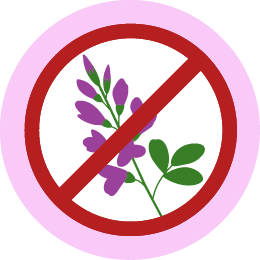 Icon „luzernefrei“ mit durchgestrichener Luzernepflanze mit grünen Blättern und violetten Blüten.