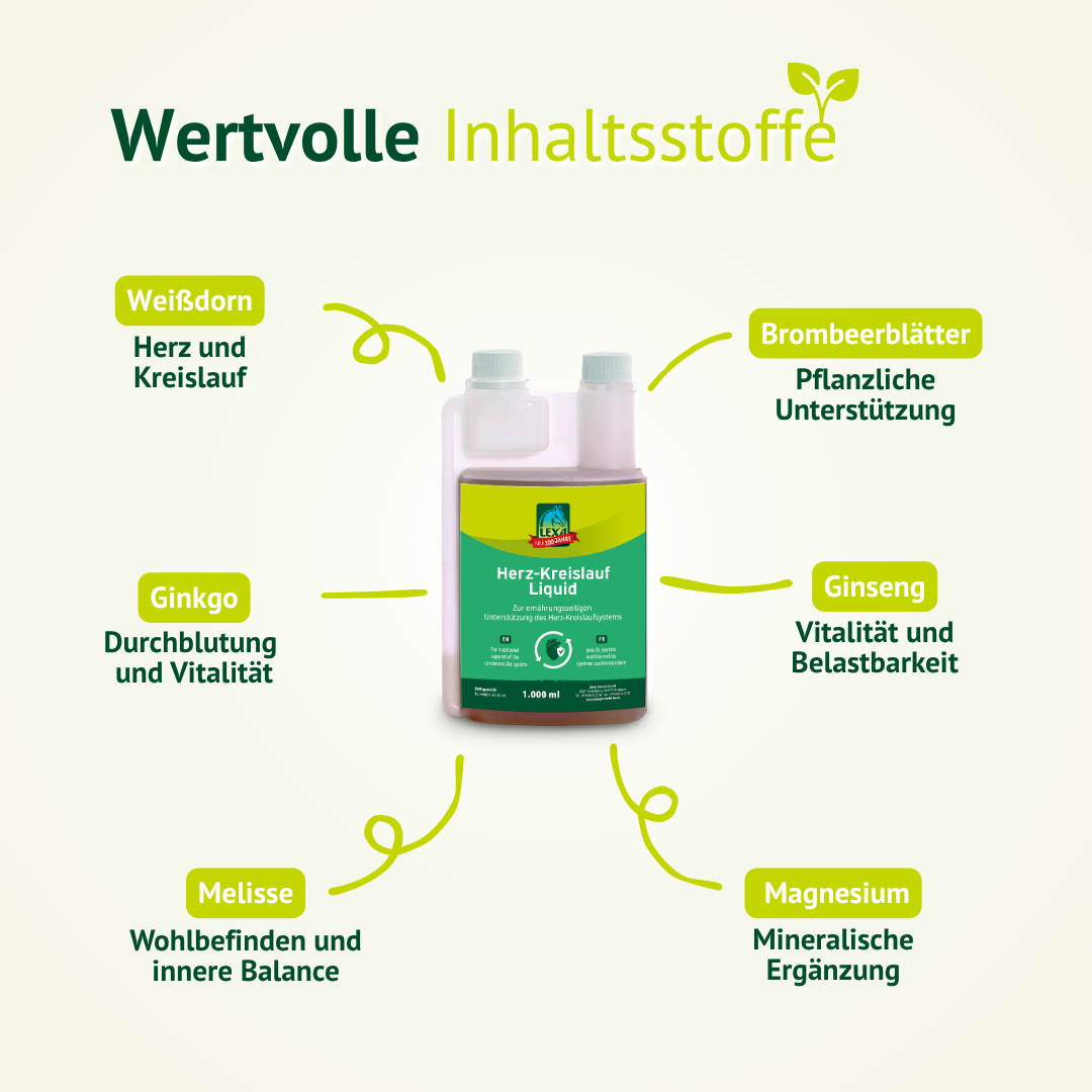 Inhaltsstoffe des LEXA Herz-Kreislauf Liquids mit Weißdorn, Ginkgo, Melisse, Brombeerblättern, Ginseng und Magnesium.