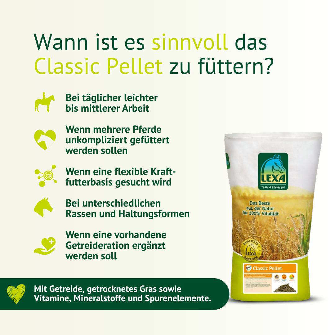 LEXA Classic Pellet als flexible Kraftfutterbasis für Pferde bei leichter bis mittlerer Arbeit