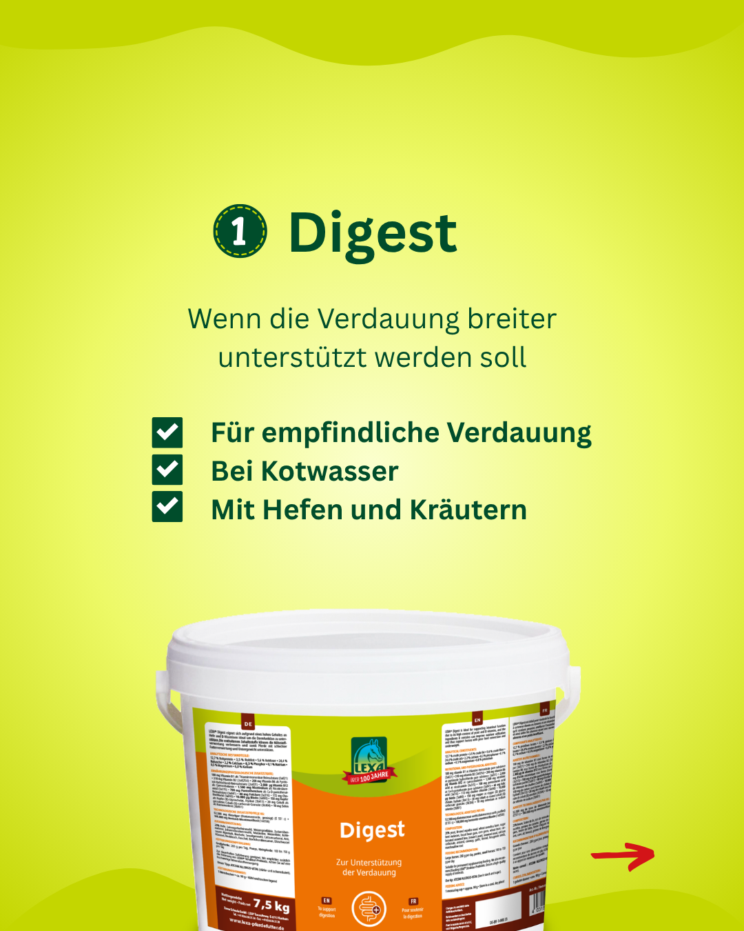 Digest Ergänzungsfutter für Pferde bei empfindlicher Verdauung und Kotwasser