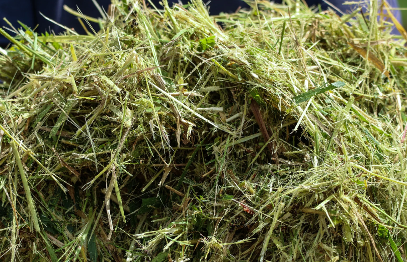 Silage auf dem Boden