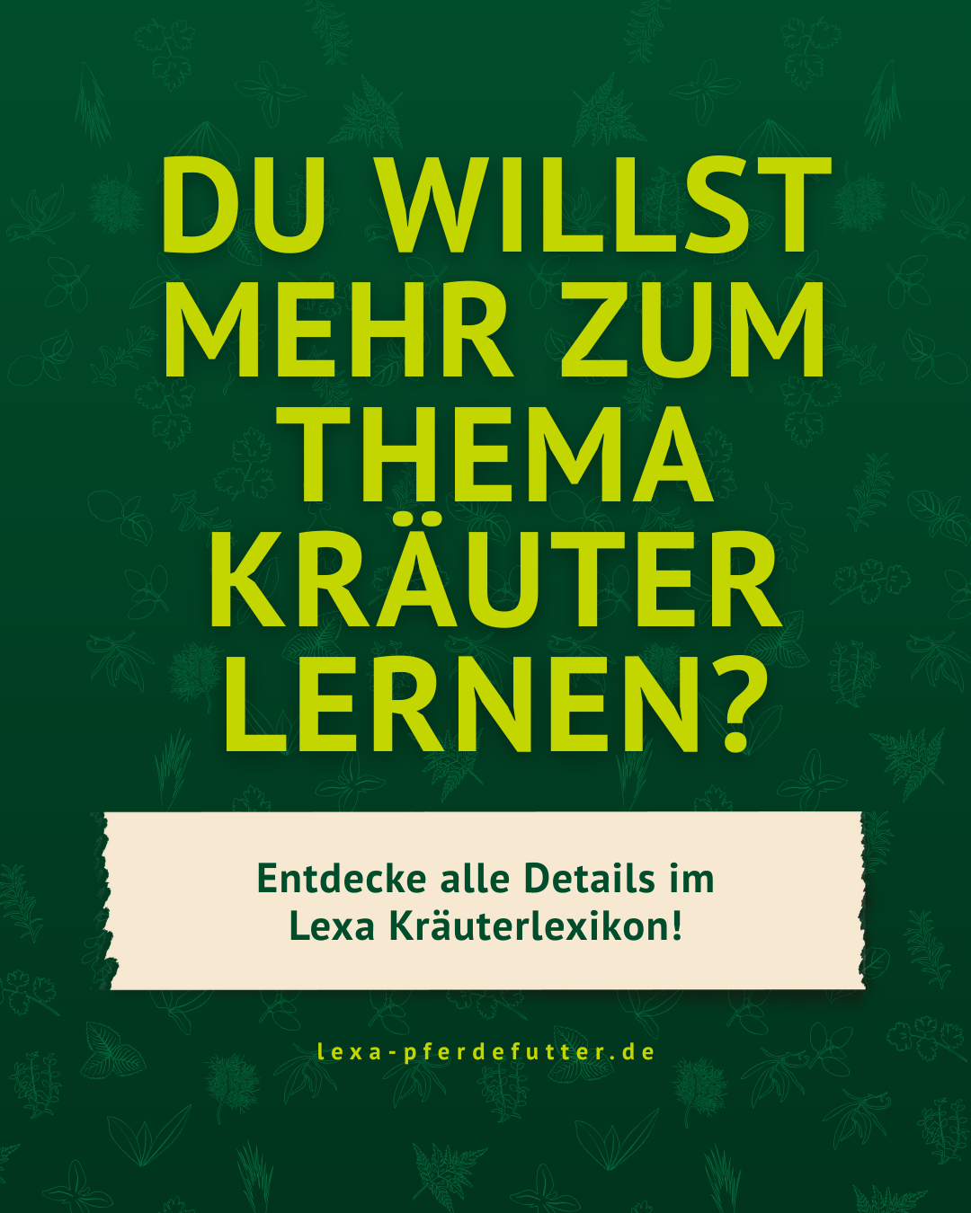 Du willst mehr zum Thema Kräuter erfahren? Bild mit Text Du willst mehr zum Thema Kräuter erfahren? Bild mit Text